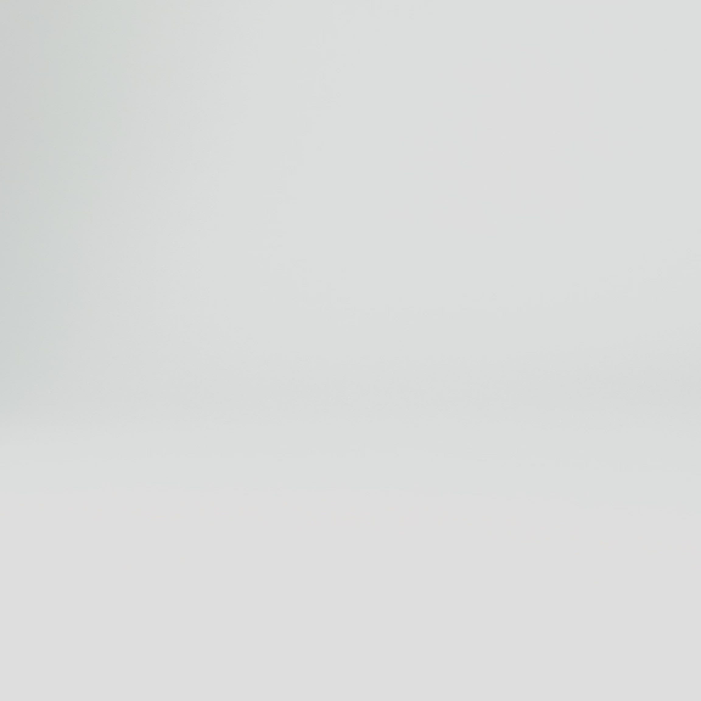 The Everyday Sandal with Backstrap (Vegan)